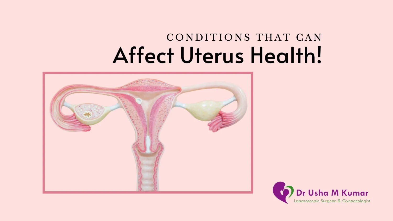 Conditions that can affect Uterus health! - Blog Image