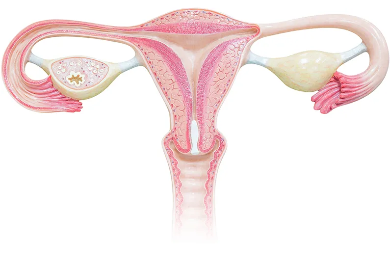 Gynecological cancer: Warning Signs you shouldn’t ignore