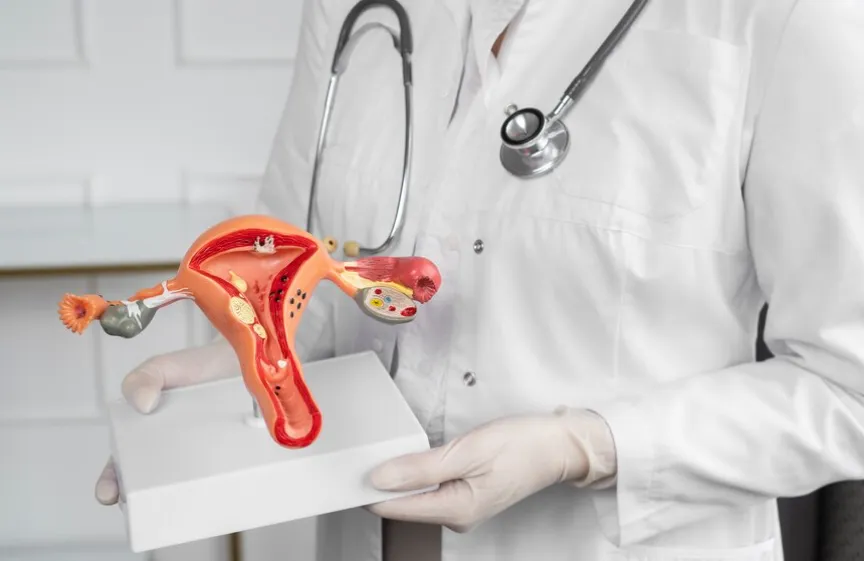 Best Gynecologist in Delhi – Dr. Usha M Kumar - Blog Image