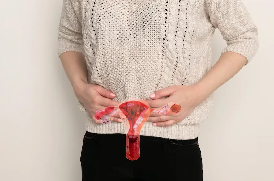Understanding Uterine Fibroids - Blog Image