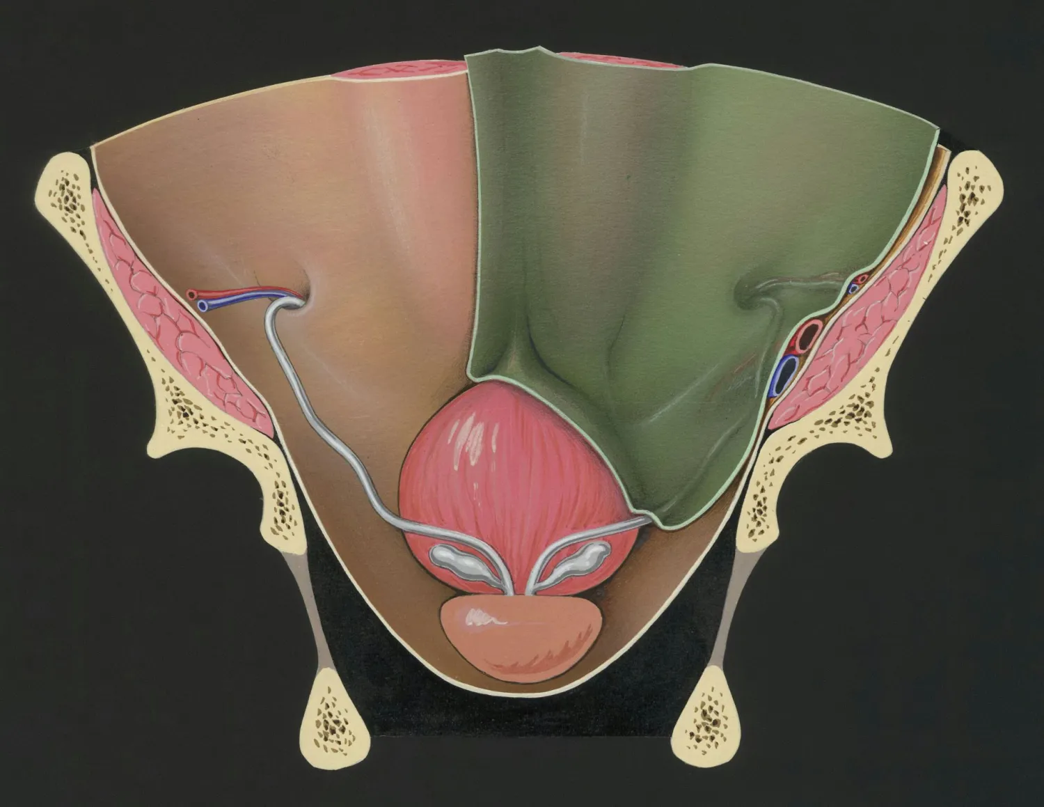 Is Your Vaginal Discharge Healthy? A Gynaecologist Explains - Blog Image