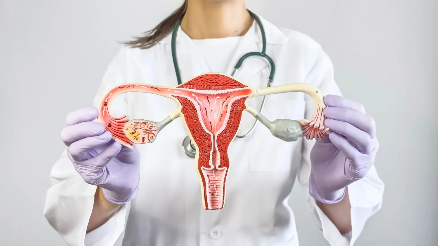 Best Gynecologist in Delhi: How to Choose the Right Women’s Health Expert - Blog Image